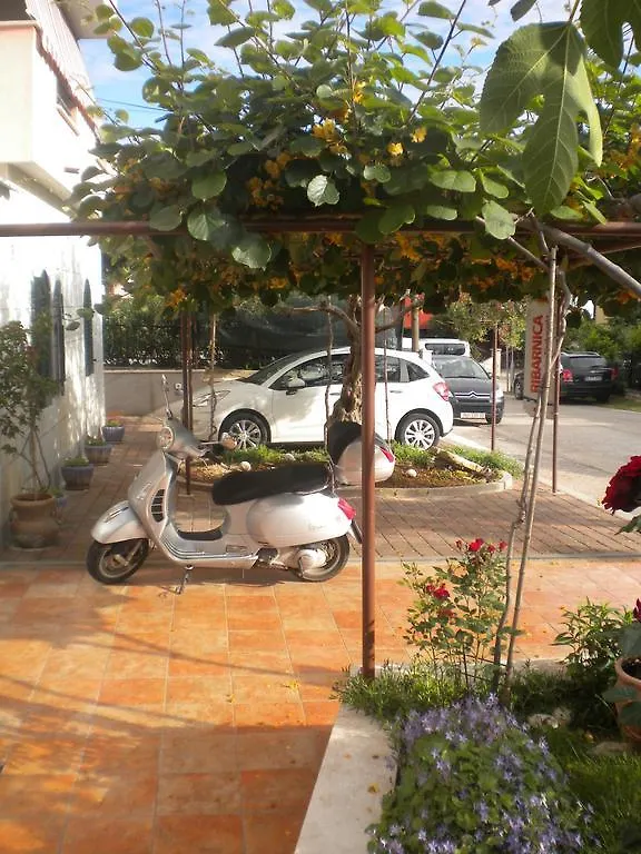 Apartments Miani Novigrad  Novigrad (Istria)
