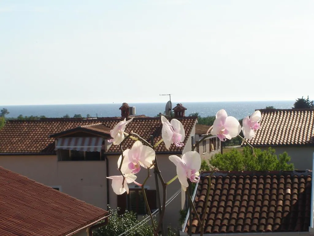 Apartments Miani Novigrad